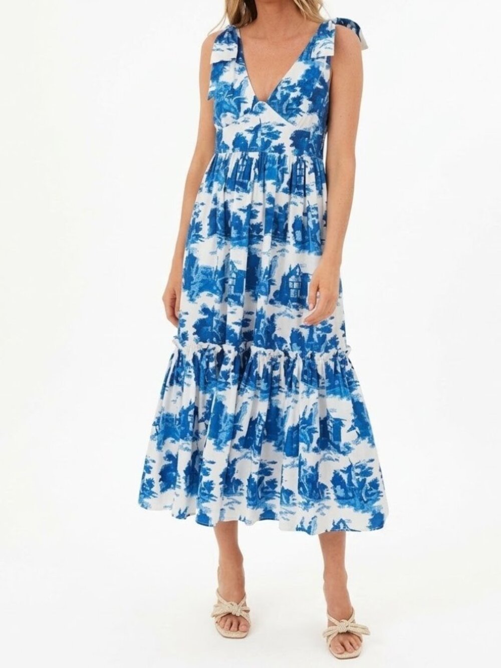 NWT Cara Cara Natasha in Venetian Story Blue Toile Cotton Midi Dress 0 $695
